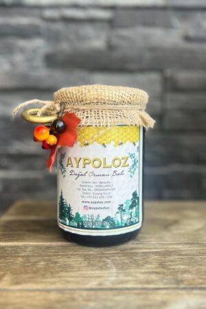 Aypoloz Doğal Orman Balı 660 cc (850 gr)