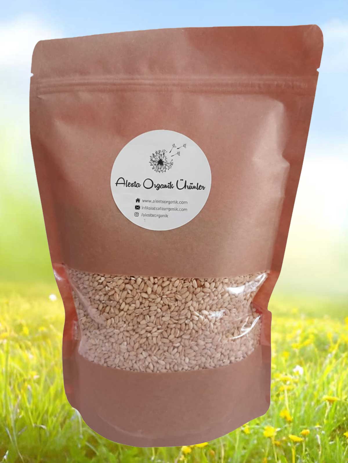 Doğal Köy Aşurelik Buğday